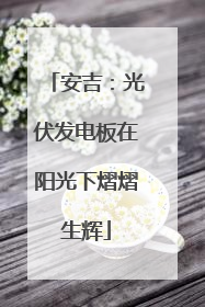 安吉：光伏发电板在阳光下熠熠生辉