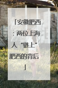安徽肥西：两位上海人“链上”肥西的背后