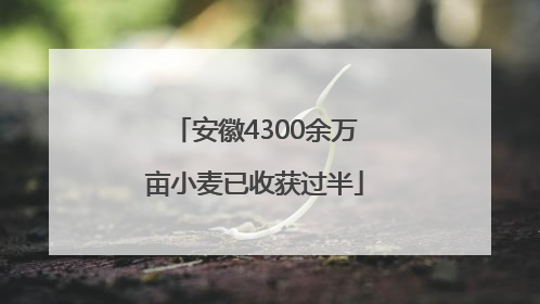 安徽4300余万亩小麦已收获过半