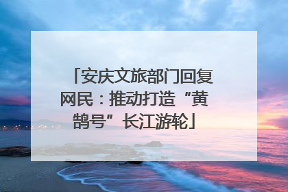 安庆文旅部门回复网民：推动打造“黄鹄号”长江游轮
