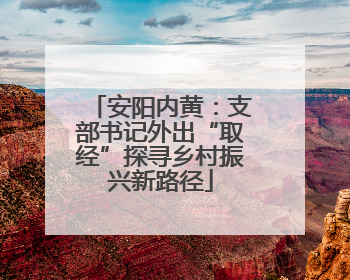 安阳内黄：支部书记外出“取经”探寻乡村振兴新路径