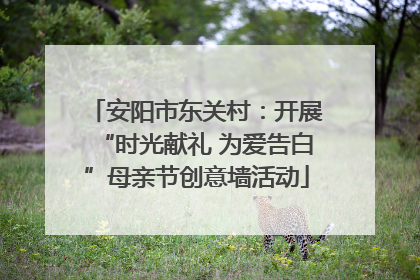安阳市东关村：开展“时光献礼 为爱告白”母亲节创意墙活动