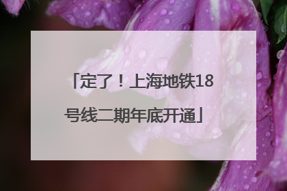 定了！上海地铁18号线二期年底开通