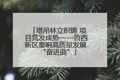 塔吊林立织锦 项目竞发成势——鲁西新区奏响高质量发展“奋进曲”