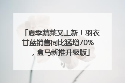 夏季蔬菜又上新！羽衣甘蓝销售同比猛增70%，盒马新推升级版