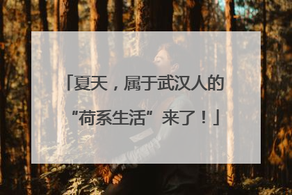 夏天，属于武汉人的“荷系生活”来了！