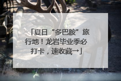 夏日“多巴胺”旅行地！龙岩毕业季必打卡，速收藏→