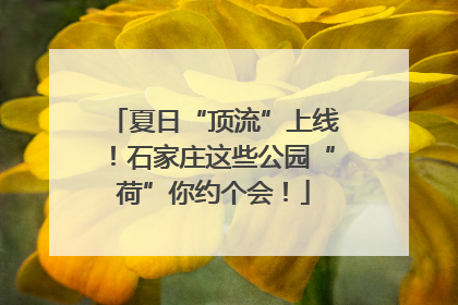 夏日“顶流”上线！石家庄这些公园“荷”你约个会！