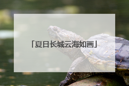夏日长城云海如画