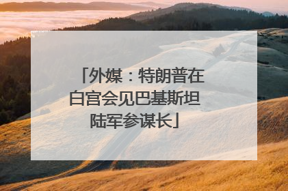 外媒：特朗普在白宫会见巴基斯坦陆军参谋长