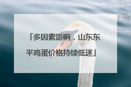 多因素影响，山东东平鸡蛋价格持续低迷