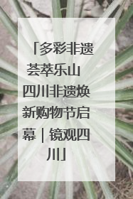 多彩非遗荟萃乐山 四川非遗焕新购物节启幕｜镜观四川