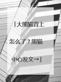 大熊猫背上怎么了？熊猫中心发文→