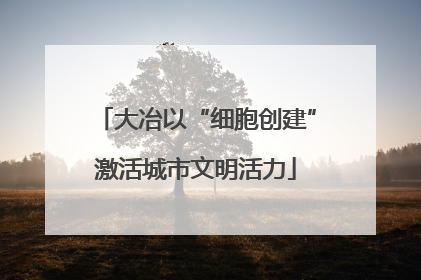 大冶以“细胞创建”激活城市文明活力