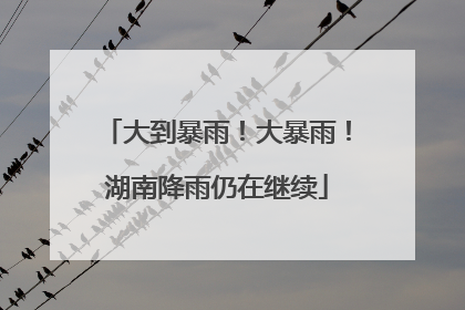 大到暴雨！大暴雨！湖南降雨仍在继续