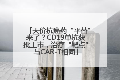 天价抗癌药“平替”来了？CD19单抗获批上市，治疗“靶点”与CAR-T相同