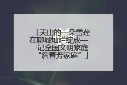 天山的一朵雪莲在聊城灿烂绽放——记全国文明家庭“詹春芳家庭”