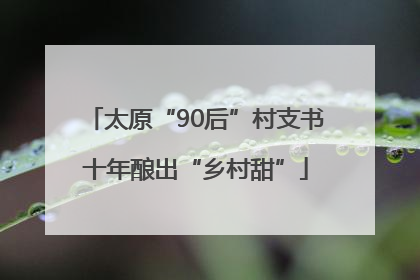 太原“90后”村支书十年酿出“乡村甜”