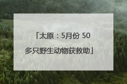 太原：5月份 50多只野生动物获救助