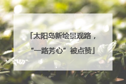 太阳岛新绘景观路，“一路芳心”被点赞