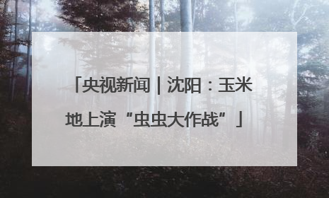 央视新闻｜沈阳：玉米地上演“虫虫大作战”