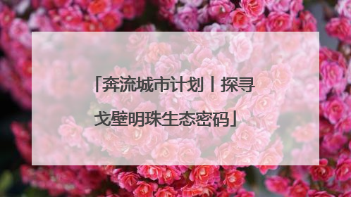 奔流城市计划丨探寻戈壁明珠生态密码