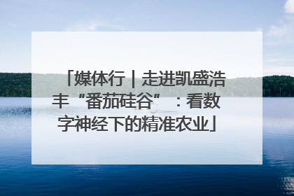 媒体行｜走进凯盛浩丰“番茄硅谷”：看数字神经下的精准农业