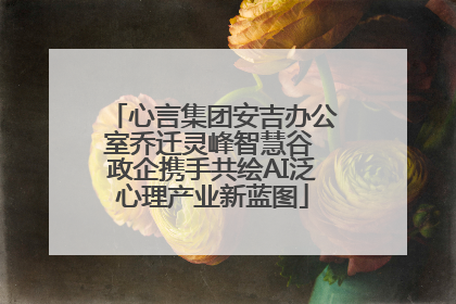 心言集团安吉办公室乔迁灵峰智慧谷 政企携手共绘AI泛心理产业新蓝图