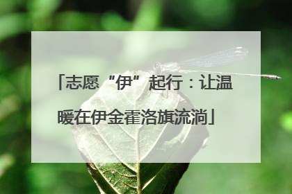 志愿“伊”起行：让温暖在伊金霍洛旗流淌