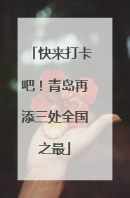 快来打卡吧！青岛再添三处全国之最