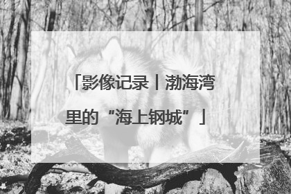 影像记录丨渤海湾里的“海上钢城”