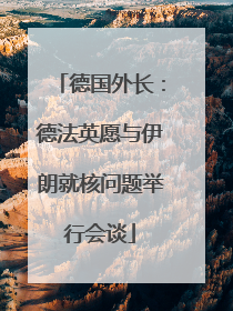 德国外长：德法英愿与伊朗就核问题举行会谈