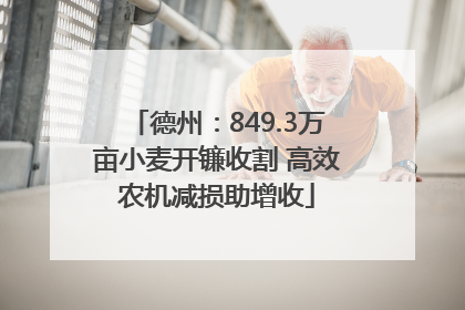 德州：849.3万亩小麦开镰收割 高效农机减损助增收