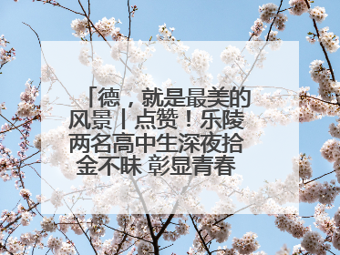 德，就是最美的风景丨点赞！乐陵两名高中生深夜拾金不昧 彰显青春正能量