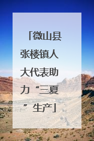 微山县张楼镇人大代表助力“三夏”生产