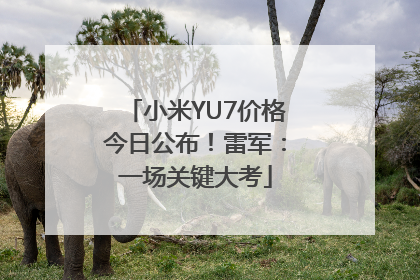小米YU7价格今日公布！雷军：一场关键大考