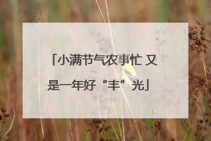 小满节气农事忙 又是一年好“丰”光