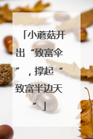 小蘑菇开出“致富伞”，撑起“致富半边天”