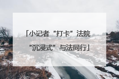 小记者“打卡”法院 “沉浸式”与法同行