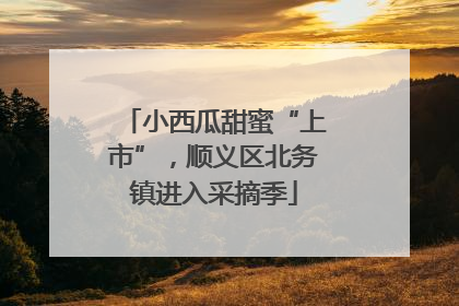 小西瓜甜蜜“上市”，顺义区北务镇进入采摘季