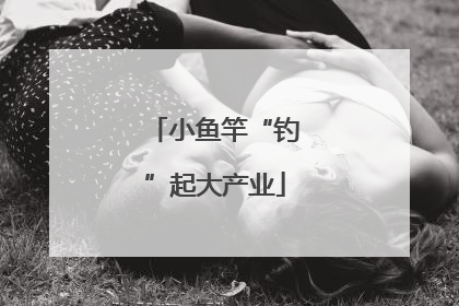 小鱼竿“钓”起大产业