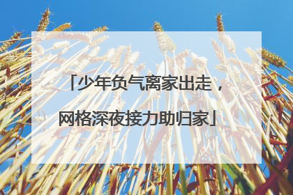 少年负气离家出走，网格深夜接力助归家