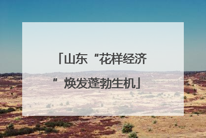 山东“花样经济”焕发蓬勃生机