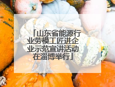 山东省能源行业劳模工匠进企业示范宣讲活动在淄博举行