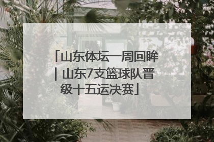 山东体坛一周回眸｜山东7支篮球队晋级十五运决赛