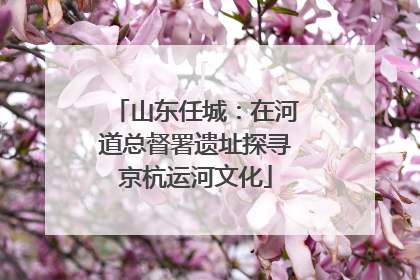 山东任城：在河道总督署遗址探寻京杭运河文化