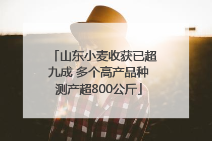 山东小麦收获已超九成 多个高产品种测产超800公斤