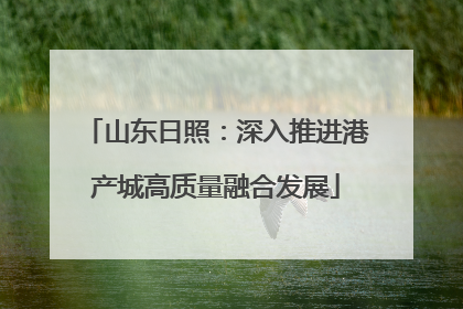山东日照：深入推进港产城高质量融合发展