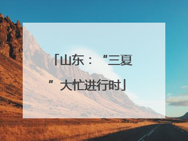 山东：“三夏”大忙进行时
