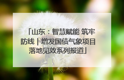 山东：智慧赋能 筑牢防线｜增发国债气象项目落地见效系列报道